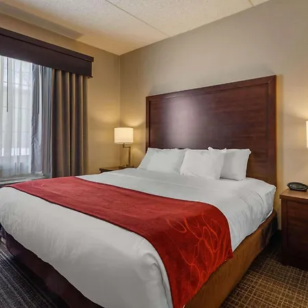Comfort Suites Green Bay West-3