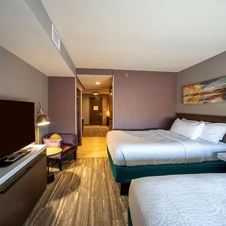 Hilton Garden Inn Rapid City-3
