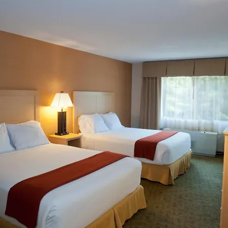 Holiday Inn Express Hotel & Suites North Conway By Ihg-2