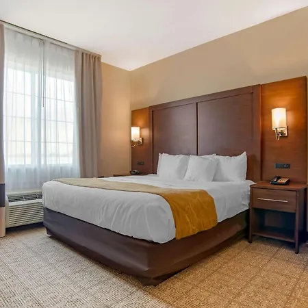Comfort Suites Alexandria North-3