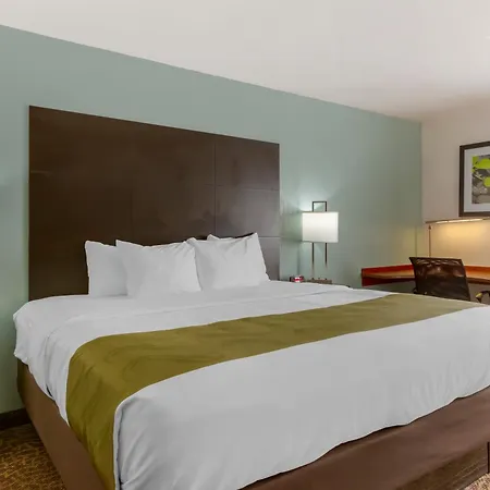 Quality Inn Alexis Rd-3