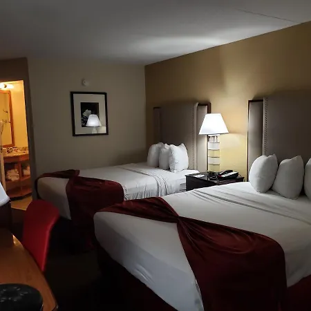 Victoryhotel Suites-2