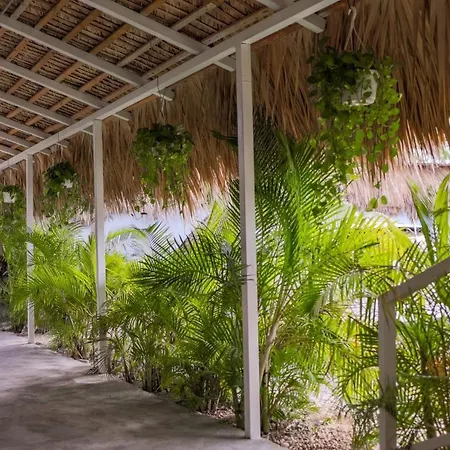 Hotel Playa Tropical-2