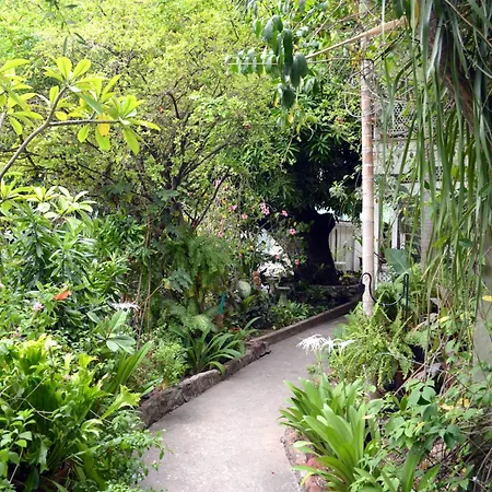 The Liguanea Club-2