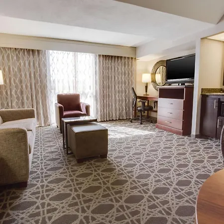Drury Plaza Hotel San Antonio Airport-2