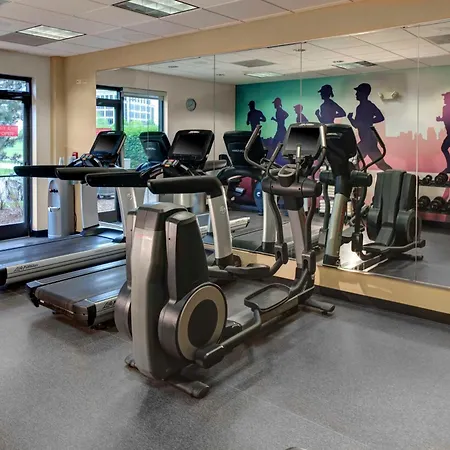 Hyatt Place Tampa Busch Gardens-3