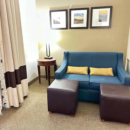 Vista Suites Near Island And Leconte Convention Center-2