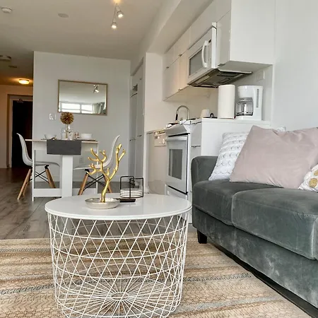 Luxury Executive Toronto Downtown Suites-2