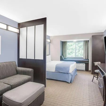 Microtel Inn & Suites Bath-3