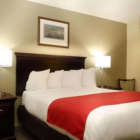 Country Inn & Suites By Radisson, Tuscaloosa, Al-3