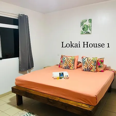 Lokai House-2