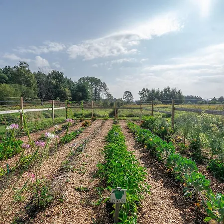 Saratoga Farmstead B&B-2