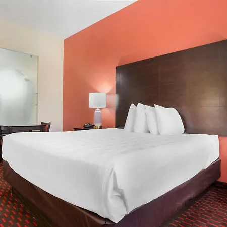 Best Western Plus Flowood Inn & Suites-3