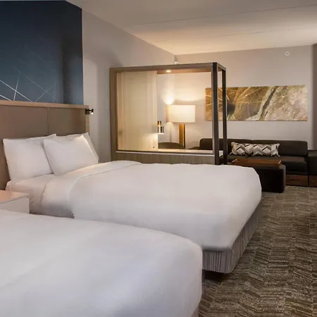 Springhill Suites By Marriott Frederick-2