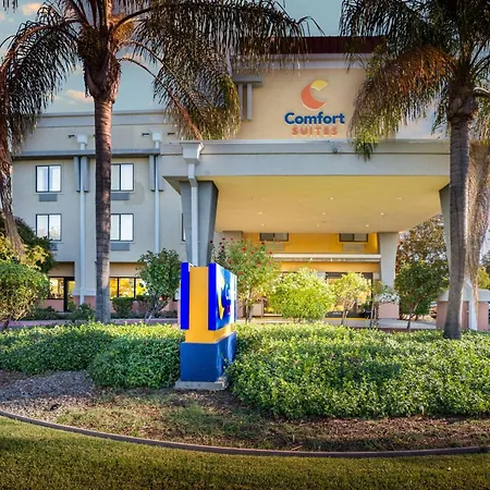 Comfort Suites Vacaville-Napa Valley Area-3