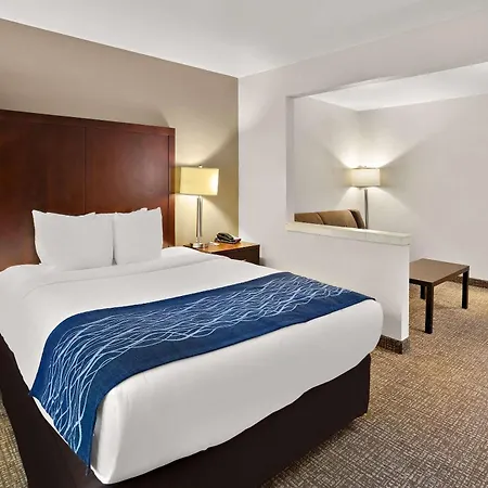 Comfort Inn Lacey - Olympia-3