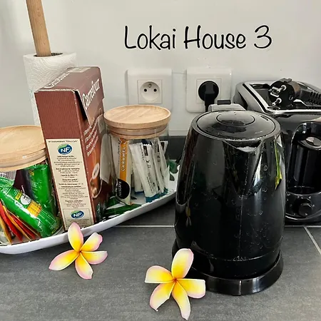 Lokai House-3