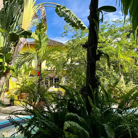 Orchid Cottage-2