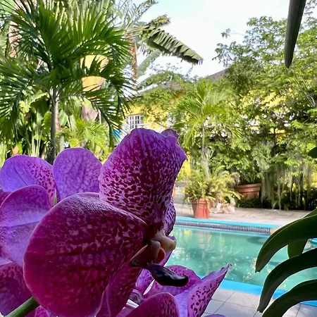 Orchid Cottage-3