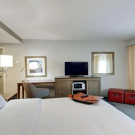 Hampton Inn & Suites Springfield Downtown-3