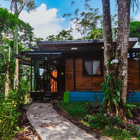 Selva Madre Eco-Sanctuary-2