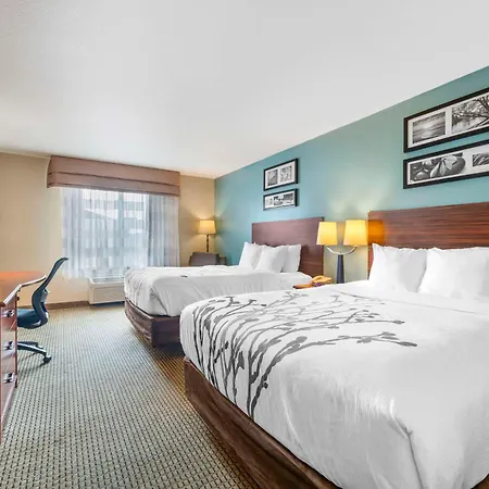Sleep Inn & Suites Rapid City-3