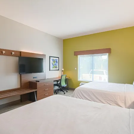 Holiday Inn Express Hotel & Suites Tampa-Usf-Busch Gardens By Ihg-3