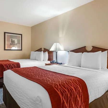 Surestay Plus Hotel By Best Western Buffalo-2