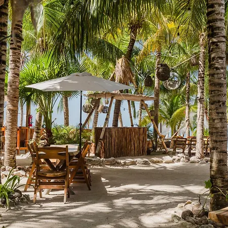 Enigmatic Beach Hotel-2