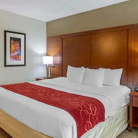 Comfort Suites At Virginia Center Commons-3
