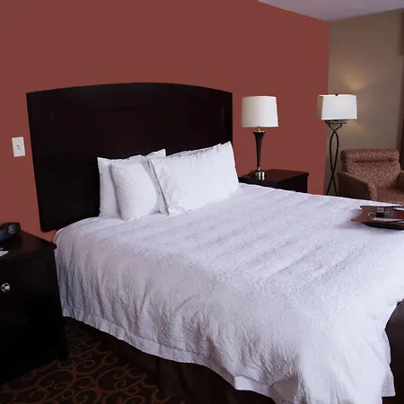 Hampton Inn & Suites Dickinson Nd-3