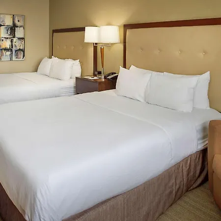 Doubletree By Hilton St. Louis At Westport-3