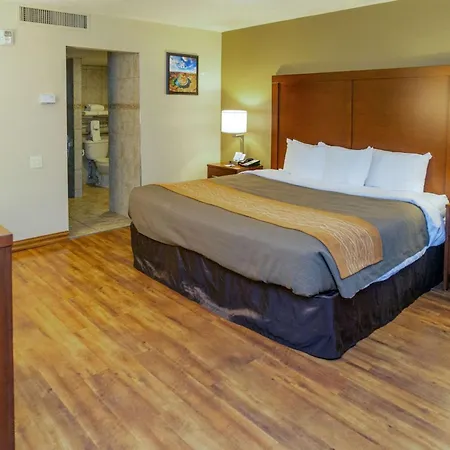 Comfort Inn Salt Lake City Downtown-2