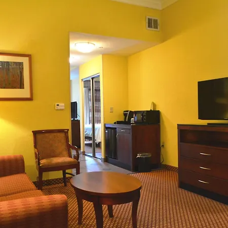 Hilton Garden Inn Houston West Katy-3