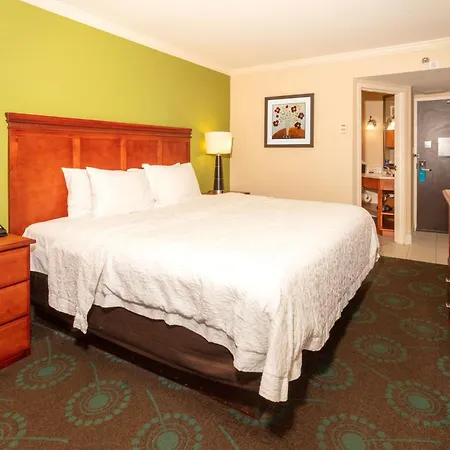 Hampton Inn Daytona Speedway-Airport-3