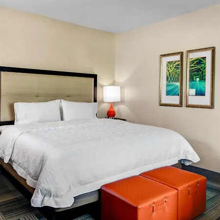 Hampton Inn & Suites By Hilton Atlanta Perimeter Dunwoody-2