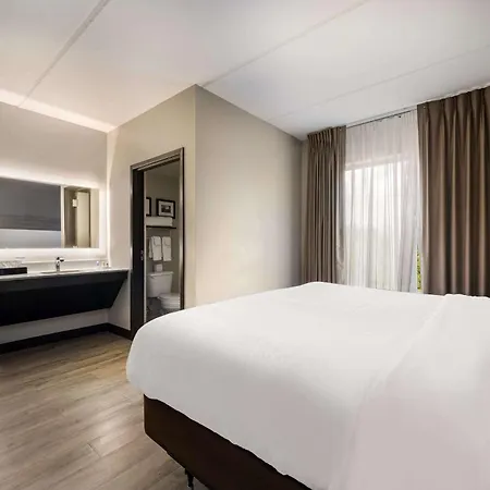 Comfort Suites Northlake-3