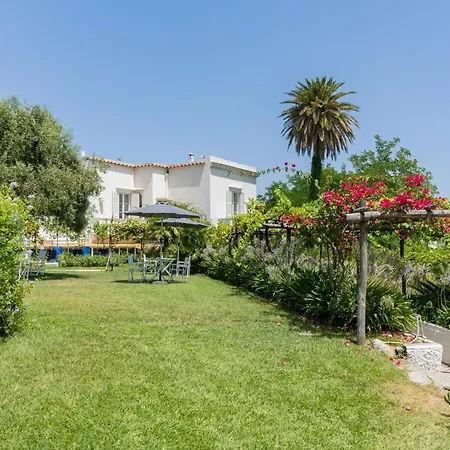 Villa La Pergola Capri-2