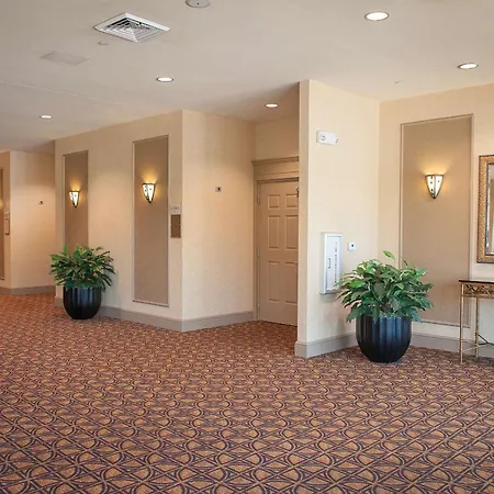 Hilton Garden Inn Pensacola Airport/Medical Center-2