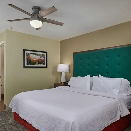 Homewood Suites By Hilton Sarasota-3
