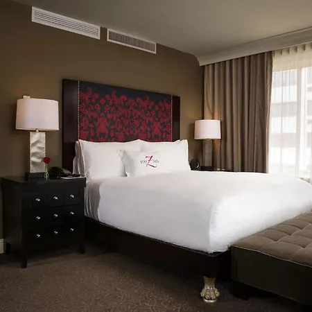 Hotel Zaza Houston Museum District-3