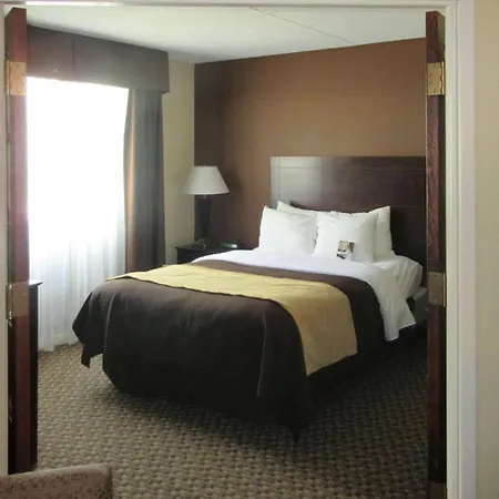 Comfort Inn & Suites Pittsburgh Fox Chapel-3