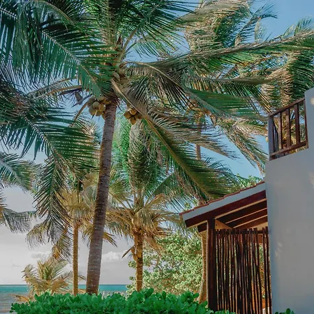 Casa Colibri Tankah-3