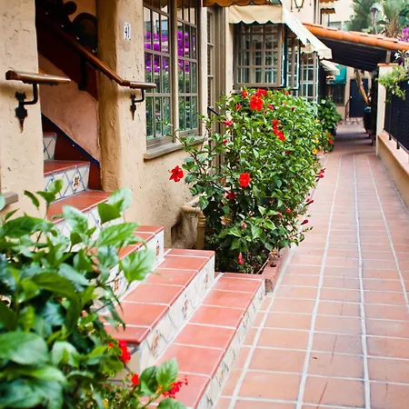 El Cordova-3