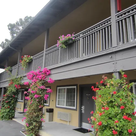 Aura Inn Monterey-2