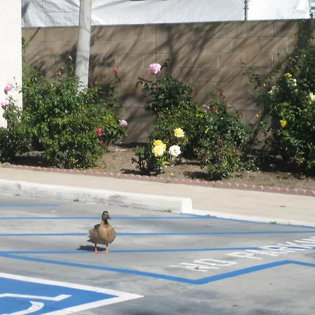 Oceanview Motel-3