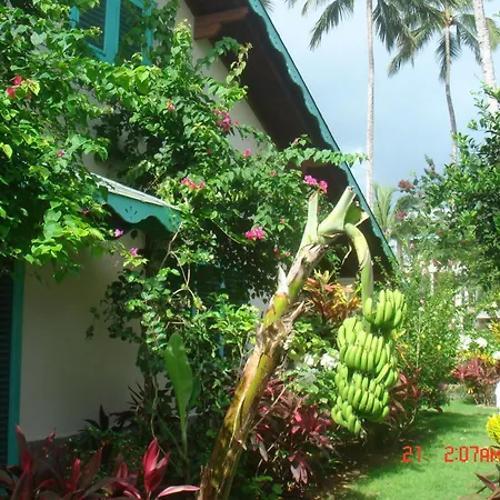 Hotel Playa Colibri-3