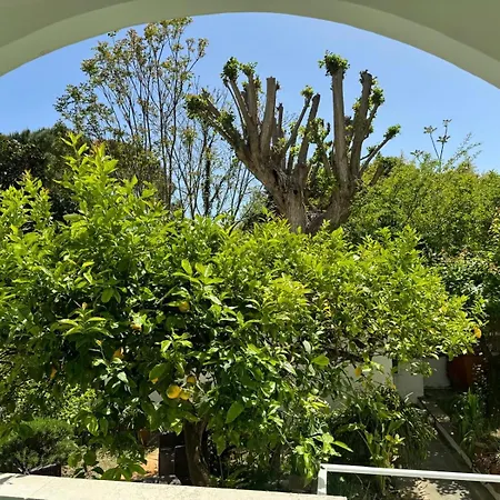 Villa Striano Boutique-2