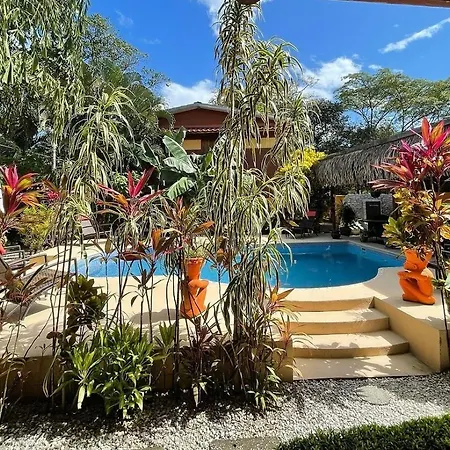 Samara Palm Lodge-2