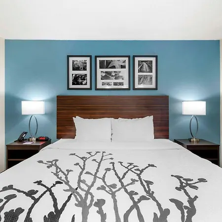 Sleep Inn Mt Pleasant - Charleston-2